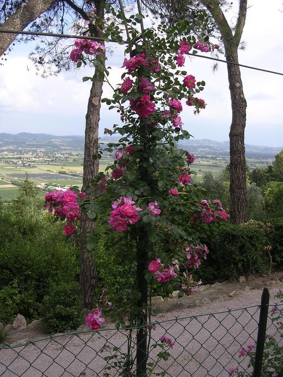 Bed & Breakfast Casa Fiorita Sant'Enea