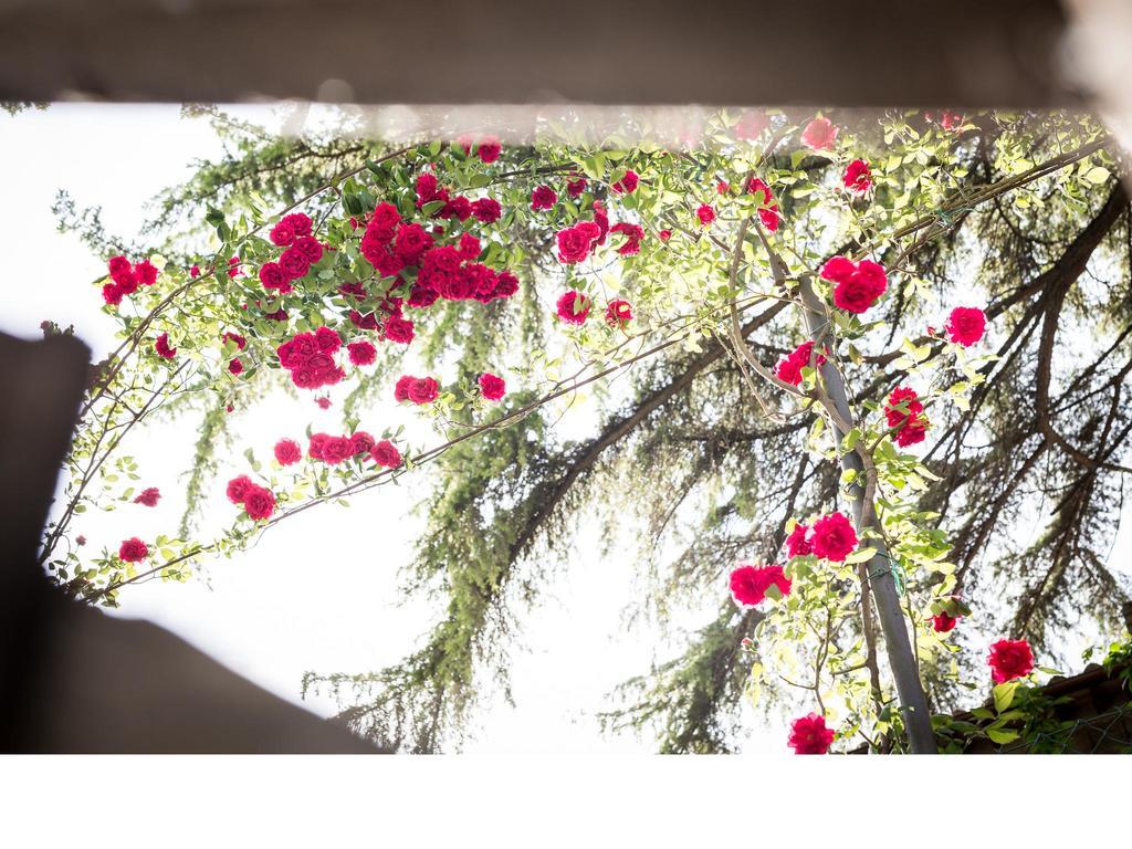 Bed & Breakfast Casa Fiorita 3*